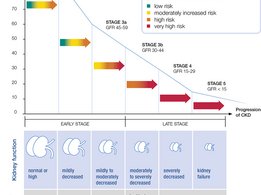 5 stádií CKD a související příznaky